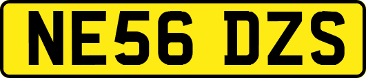 NE56DZS