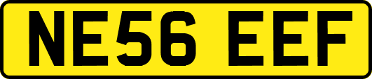 NE56EEF