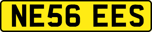NE56EES