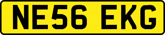 NE56EKG