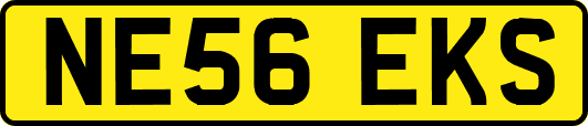 NE56EKS