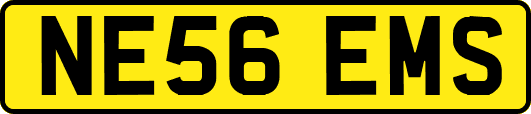 NE56EMS
