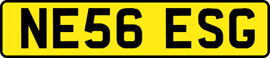 NE56ESG