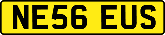 NE56EUS