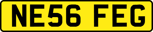 NE56FEG