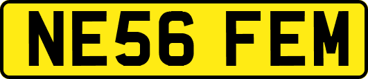 NE56FEM