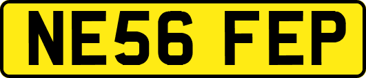 NE56FEP