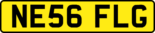 NE56FLG