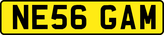 NE56GAM