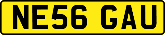 NE56GAU