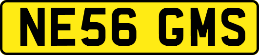 NE56GMS