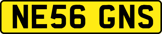 NE56GNS