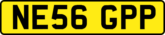NE56GPP