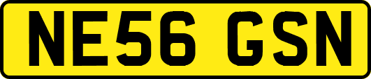 NE56GSN