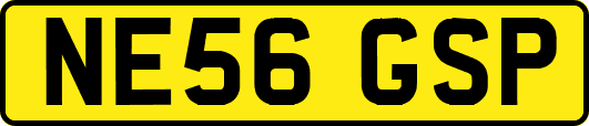 NE56GSP