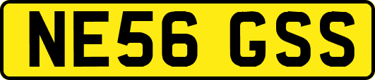 NE56GSS