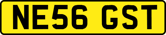 NE56GST