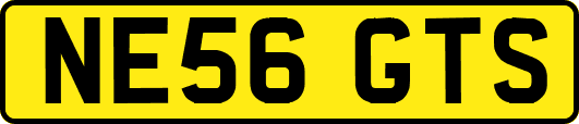 NE56GTS