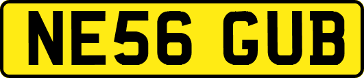 NE56GUB