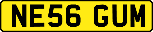 NE56GUM