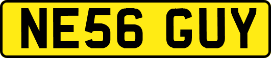 NE56GUY