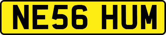 NE56HUM