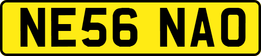 NE56NAO