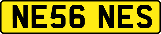NE56NES