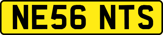 NE56NTS