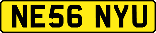 NE56NYU