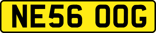 NE56OOG