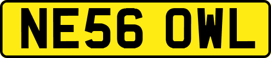 NE56OWL