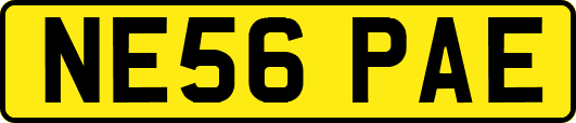 NE56PAE