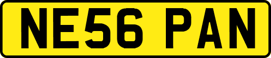 NE56PAN