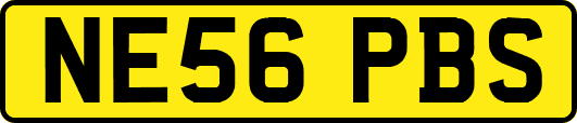 NE56PBS