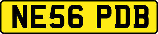 NE56PDB