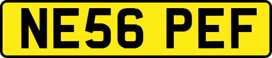 NE56PEF
