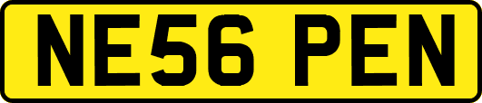 NE56PEN