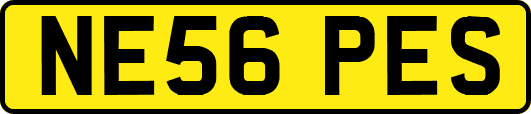 NE56PES