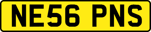 NE56PNS