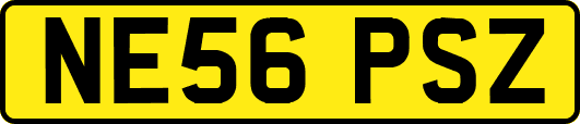 NE56PSZ