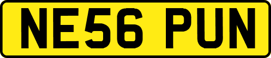 NE56PUN