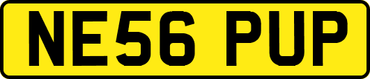 NE56PUP