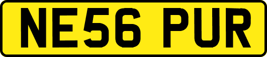 NE56PUR