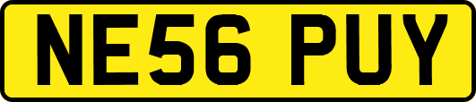 NE56PUY