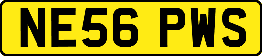 NE56PWS