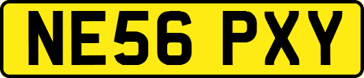 NE56PXY