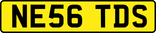 NE56TDS
