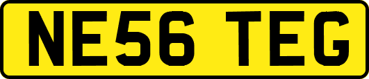NE56TEG