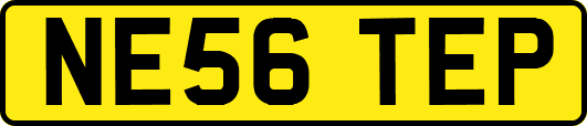 NE56TEP